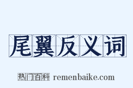 尾翼反义词是什么意思的图片